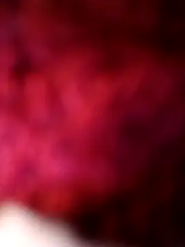 Chat XXX en directo de bimexpoexist