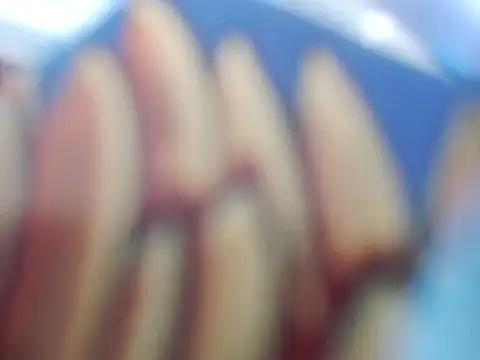 Laco-cO's Live XXX Chat