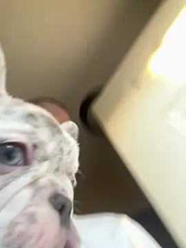 pussyeater_- 웹캠 쇼