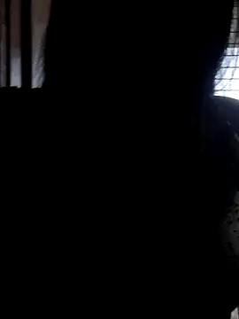 Chat +18 de Ally-cutee ao vivo