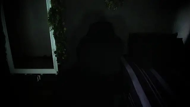 Show Webcam de newjeff