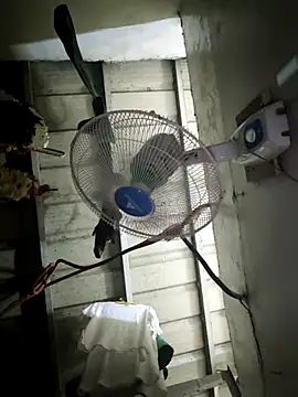 Pokazy przed kamerką – kinkynastymum74