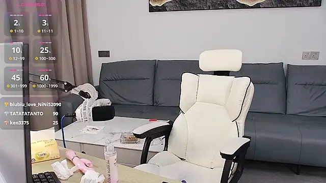 XX-CYY Show in webcam