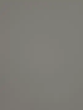 controlplay 网络视讯表演