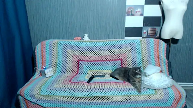 Chat XXX ao vivo de pa1e_pr1ncess