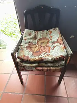 Show de Blanco2023 na webcam