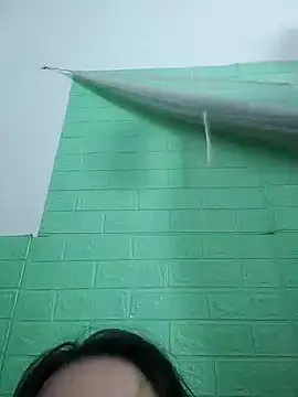 lucie_mehott19 网络视讯表演