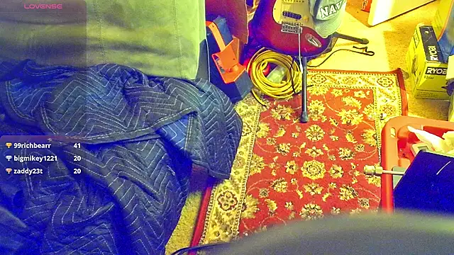 DoMeDoggyNow: διαδικτυακό σόου στην κάμερα