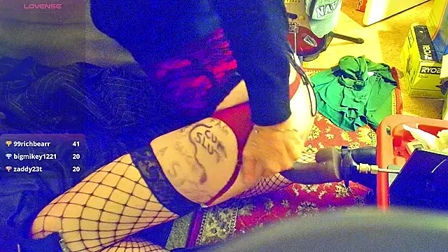 DoMeDoggyNow: διαδικτυακό σόου στην κάμερα