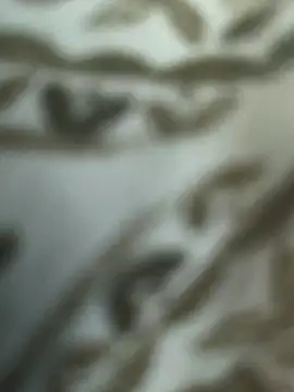 _Stripchat_Owner_'s Webcam Show