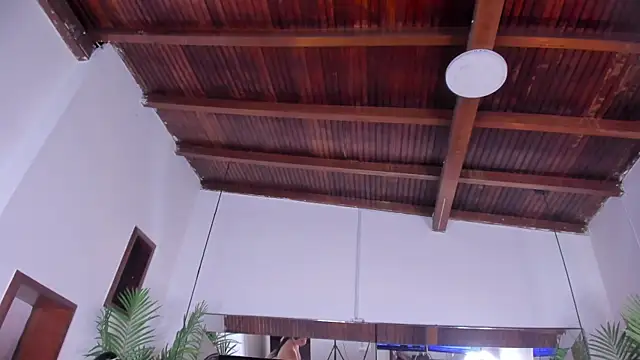 Chat XXX en directo de emily-fox