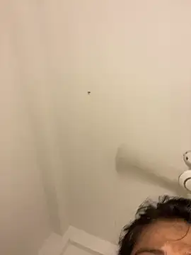 Anjelina__Jolie__'s Webcam Show