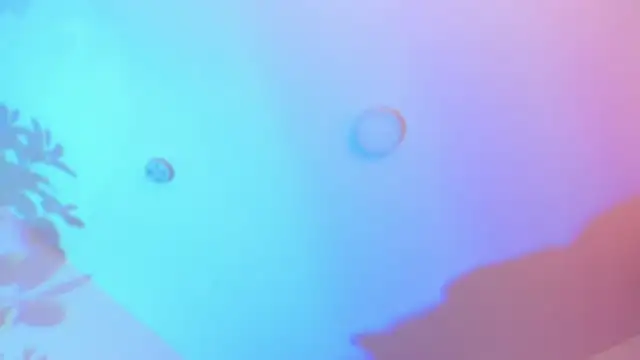 YariRose 即時 XXX 聊天