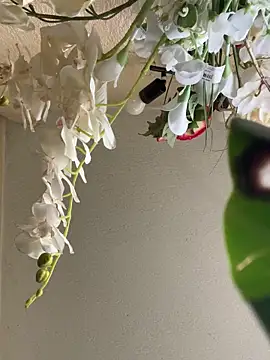 LaDuchesse75 即時 XXX 聊天