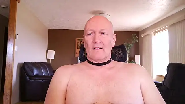 BasicAnt 现场XXX聊天