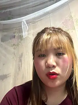 Forida-ciea Webcam show