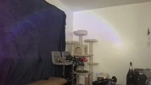 SexuallyExplicit's Webcam Show