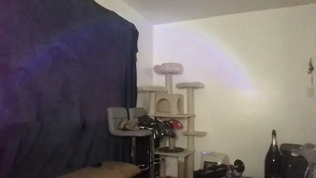 Show de SexuallyExplicit na webcam