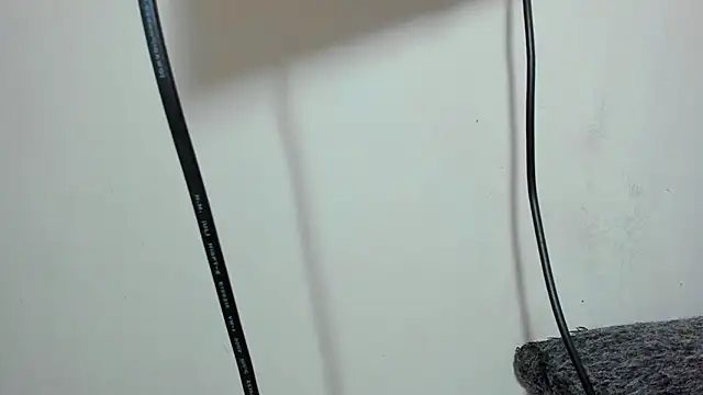 Show webcam de ZeusBrant