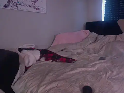 ekkomisson Webbikameraesitys