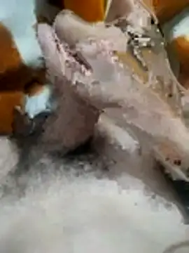 naghmi12 webkamerás műsora