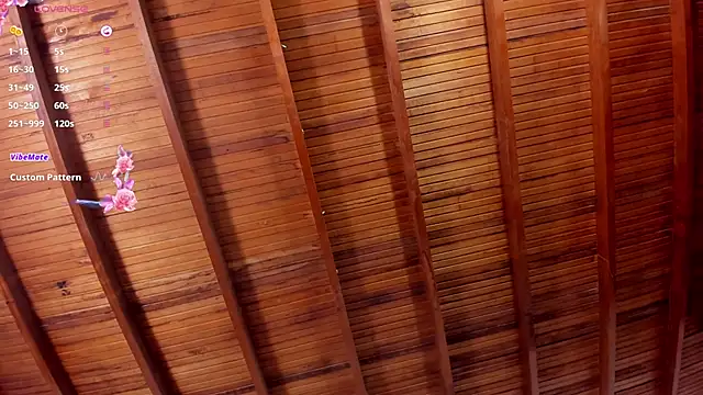 Czat XXX na żywo – zafiro_ziz