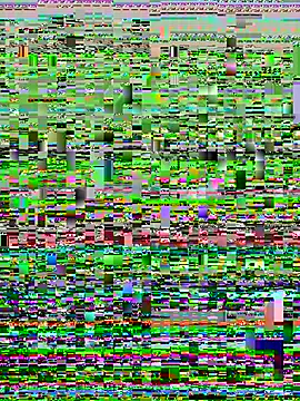 Chat XXX en directo de Flossy_Vettie