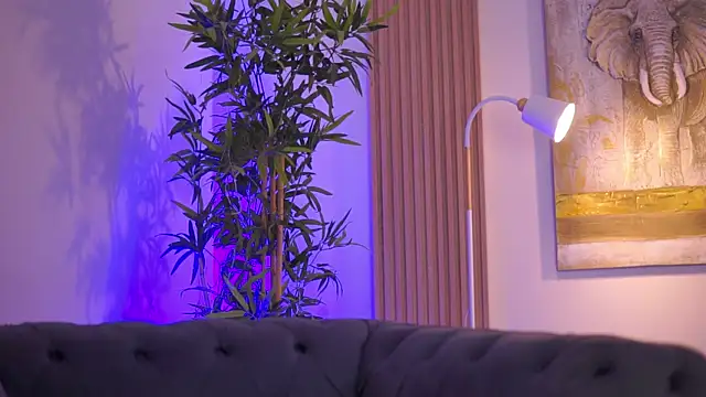 Aisha_Bee 即時 XXX 聊天