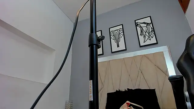 adams_bobby Adlı Modelin Canlı XXX Sohbeti