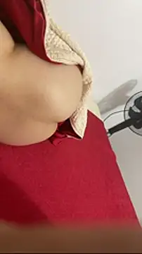 vietAnhzip 网络视讯表演