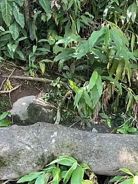 Chat XXX Live NahomyVega