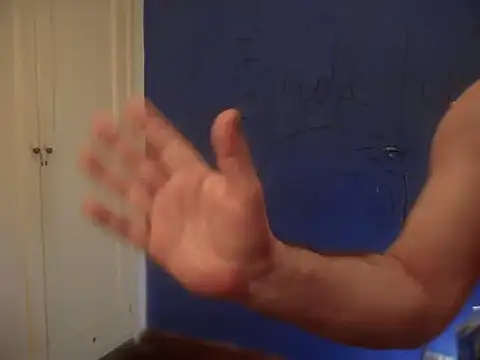 Fabrissi's Webcam Show