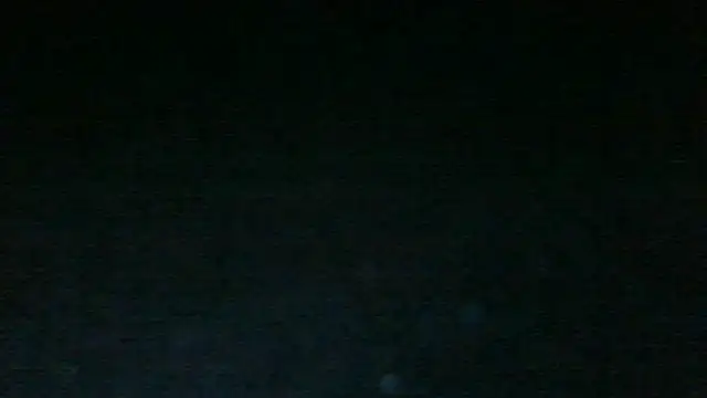 Chichoplus1 Show in webcam