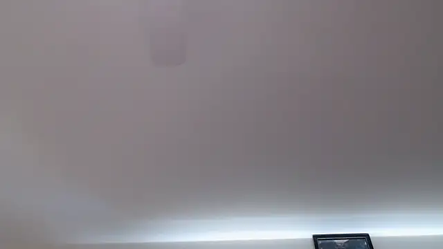 Show webcam de florida0217