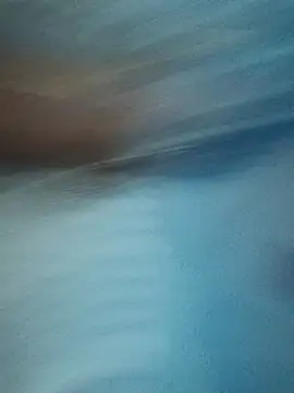 Mrwildhere 现场XXX聊天