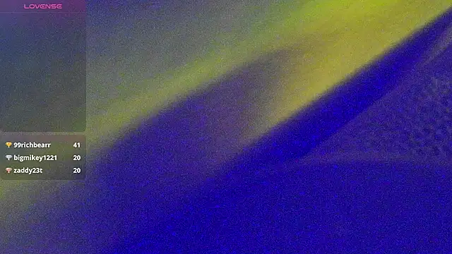 Show Webcam de DoMeDoggyNow