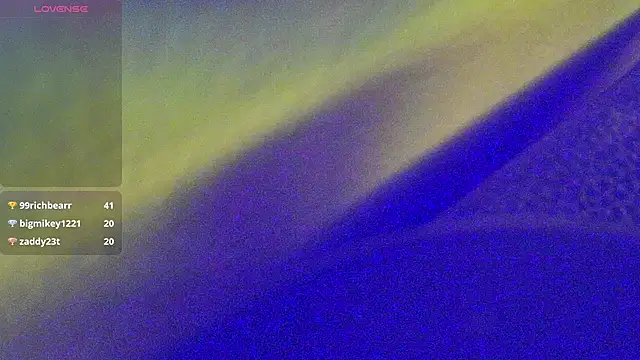 DoMeDoggyNow webkamerás műsora