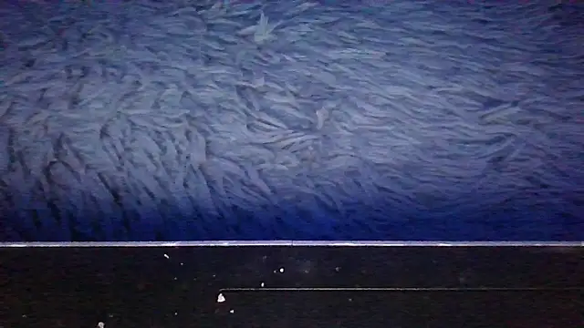 Chichoplus1 – Kamerová šou