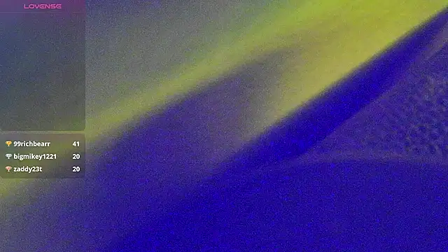 DoMeDoggyNown Webbikameraesitys