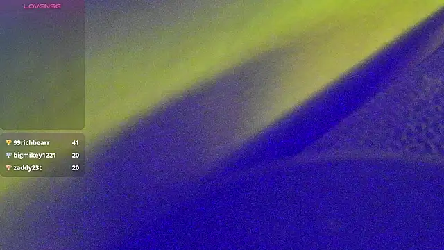 DoMeDoggyNow's Webcam Show