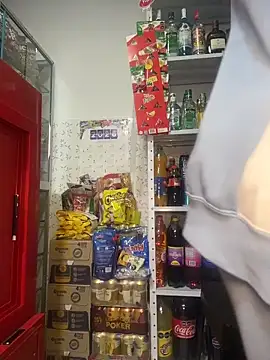 Sara_fun 网络视讯表演