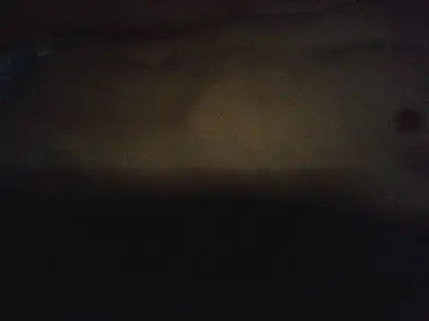 novilho18piroc webcam show