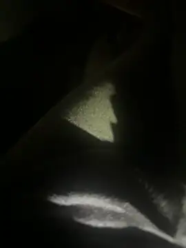 Show modela chrysouva1-- na web-kameri