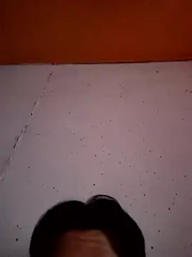 Seb_King 网络视讯表演