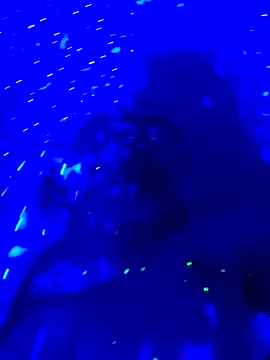 Kingsscepter: вебкам-шоу