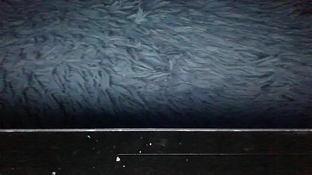 Chichoplus1's Webcam Show