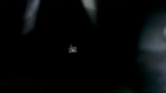 Show de webcam de Foxy_Lovex