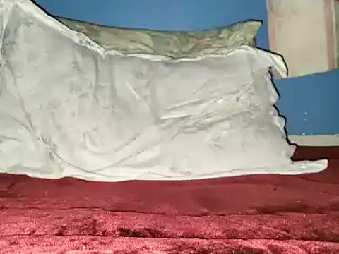 malwiran Webbikameraesitys