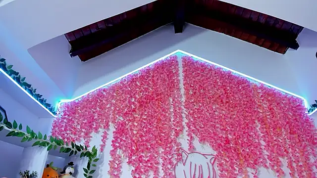 _hanna_sky Adlı Modelin Canlı XXX Sohbeti