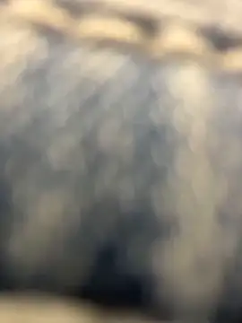 BlondePawg's Live XXX Chat